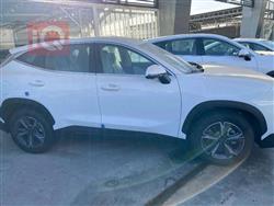 جیتۆر داشينگ